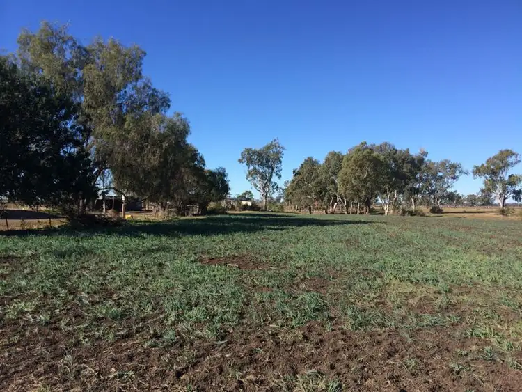 Main view of Homely house listing, 'Tamerine' Gwydirfield Road, Moree NSW 2400