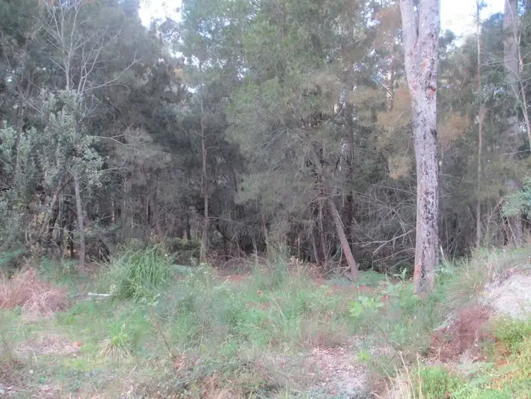 Third view of Homely house listing, 323 Bingi Road, Bingie NSW 2537