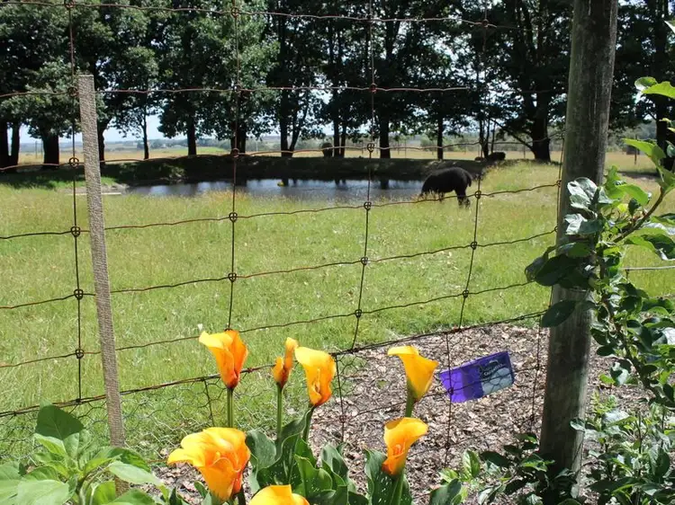 Fourth view of Homely house listing, 390 Stuchberrys Road, Inverloch VIC 3996