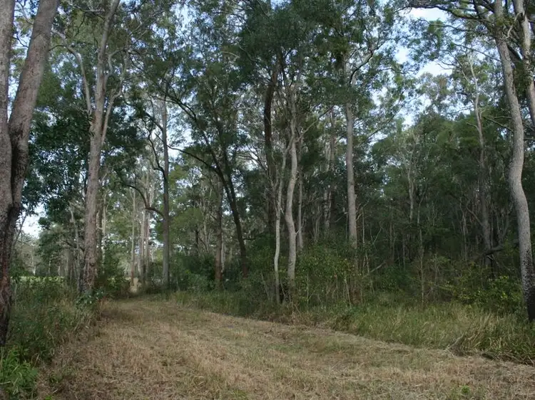 Fourth view of Homely rural property listing, 8655 Pacific Highway, Woodburn NSW 2472