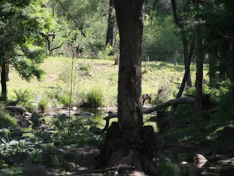 Fifth view of Homely rural property listing, Lot 53 Bakers Road,, Clintonvale QLD 4370