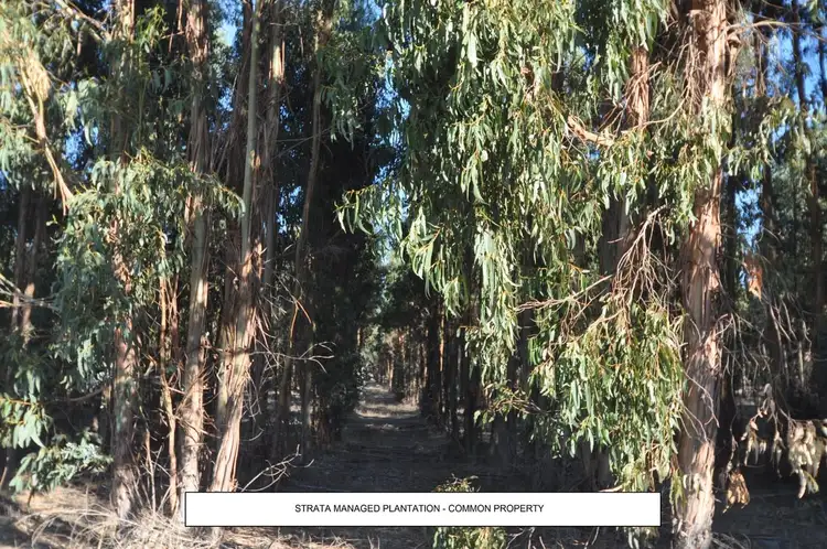 Sixth view of Homely land listing, 21 Folly Road, Frankland River WA 6396