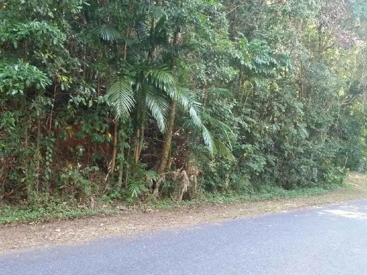 Second view of Homely land listing, 185-187 Stanton Road, Smithfield QLD 4878