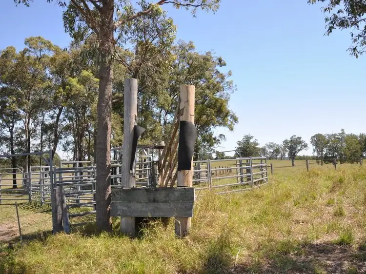 Fourth view of Homely rural property listing, 637 Lagoon Road, West Coraki NSW 2471