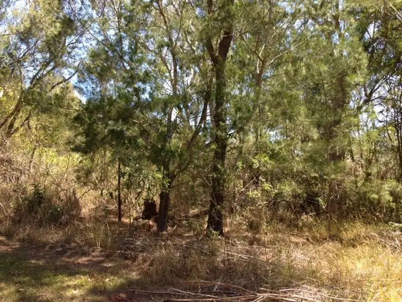 Main view of Homely land listing, 3 Rhodes Street, Macleay Island QLD 4184