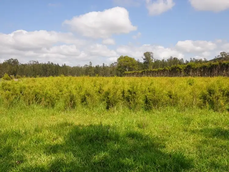 Fourth view of Homely rural property listing, 255 The Gap Road, Woodburn NSW 2472