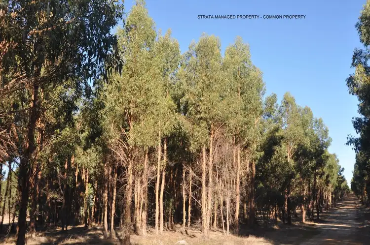 Fifth view of Homely land listing, 21 Folly Road, Frankland River WA 6396