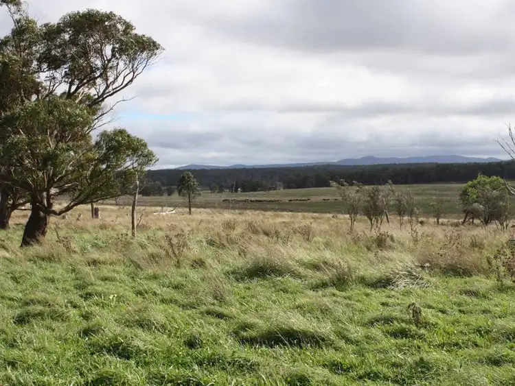 Sixth view of Homely rural property listing, Nine Mile Rd, Dundee NSW 2370