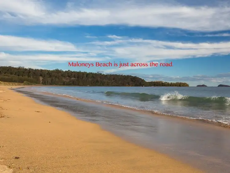 Fourth view of Homely house listing, 16 Maloneys Drive, Maloneys Beach NSW 2536