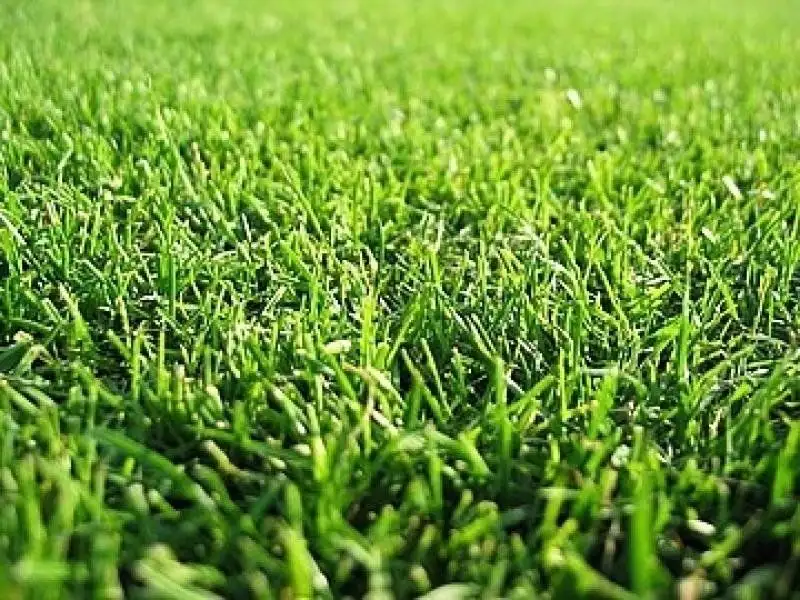 Main view of Homely land listing, 5 Solomon Way, Beveridge VIC 3753