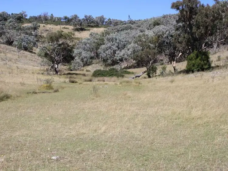 Second view of Homely rural property listing, 19/702965 Gulf Road, Emmaville NSW 2371