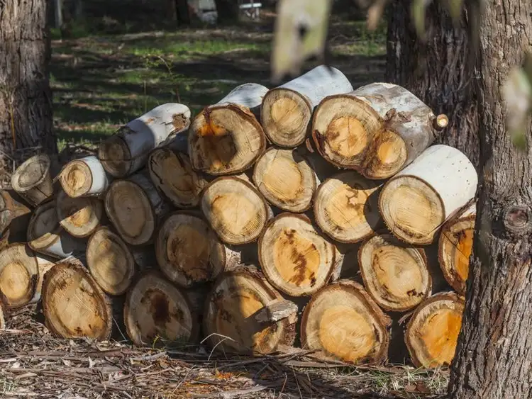 Seventh view of Homely land listing, 85 Bushbys Road, Barongarook VIC 3249