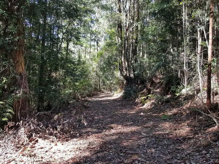 Fifth view of Homely land listing, Lot 2 Eve Creek Road, Brooklana NSW 2450