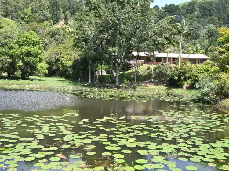 Main view of Homely rural property listing, 101 Green Valley Way, Piggabeen NSW 2486