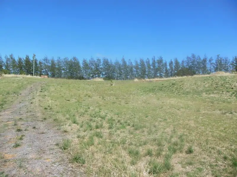 Main view of Homely land listing, 30 Apps Lane, Young NSW 2594