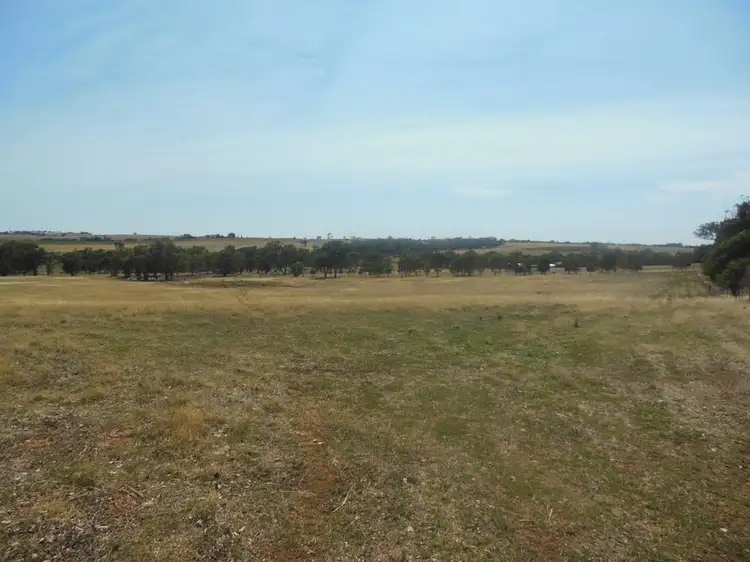 Fifth view of Homely land listing, 62 Sads Lane Monteagle, Young NSW 2594