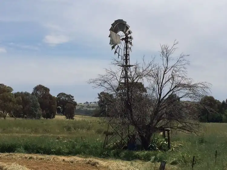 Seventh view of Homely rural property listing, 126 Kangaroo Flat Road, Cowra NSW 2794