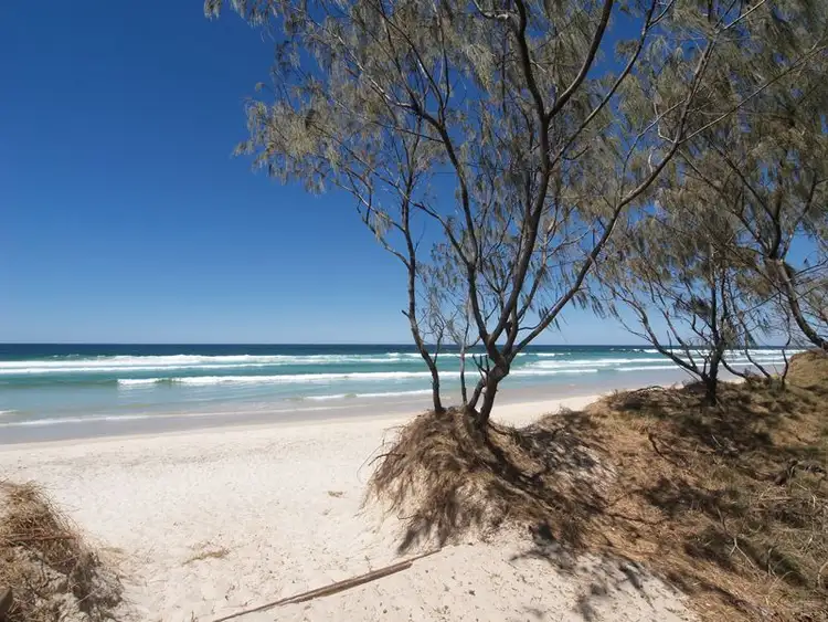 Third view of Homely land listing, 19 She Oak Lane, Casuarina NSW 2487