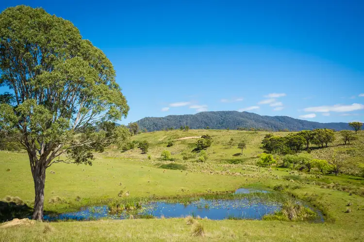 Third view of Homely house listing, 152 Upper Brogo Road, Quaama NSW 2550