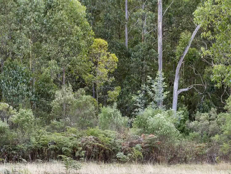 Fourth view of Homely land listing, Watsons Road, Kettering TAS 7155