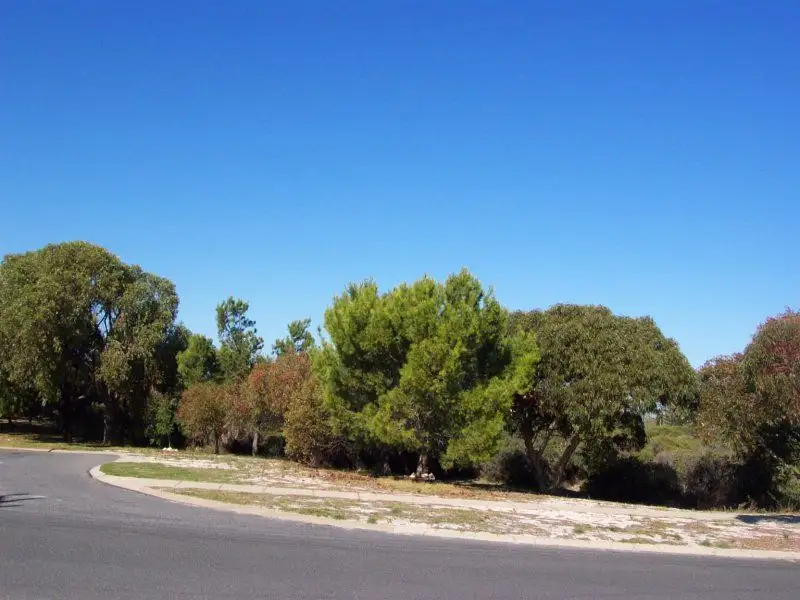 Main view of Homely land listing, 82 Cassilda Way, Two Rocks WA 6037