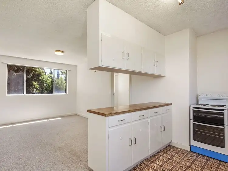Fifth view of Homely unit listing, 3/8 Irvine Street, Watson ACT 2602