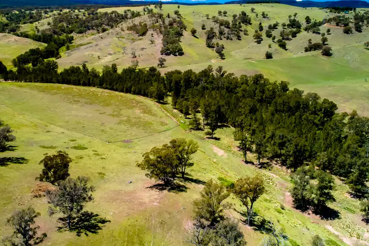 Sixth view of Homely rural property listing, 1010 Gangbenang Road, Little Hartley NSW 2790