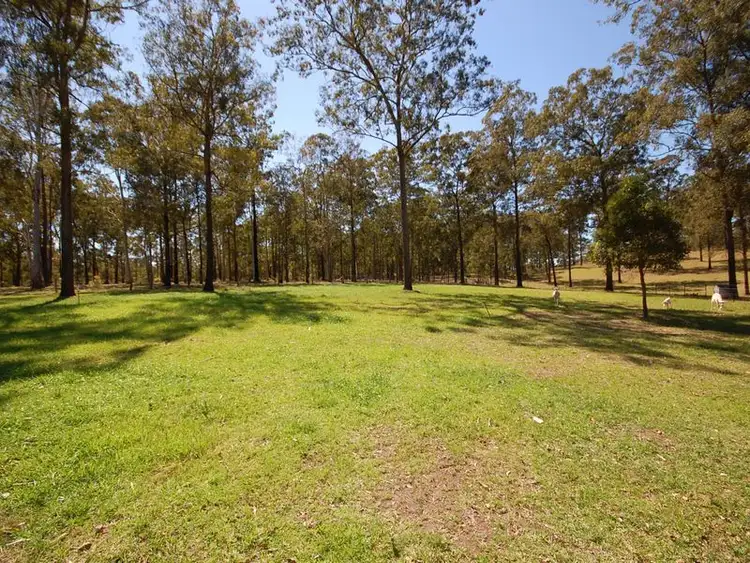 Fourth view of Homely rural property listing, 364 Mooral Creek Road, Wingham NSW 2429