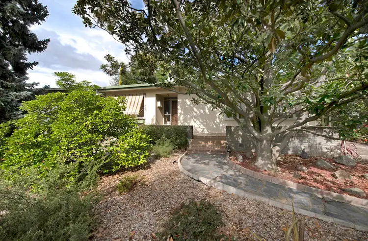 4 McColl Street, Ainslie ACT 2602