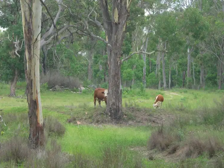 Fourth view of Homely rural property listing, 121 Maidenwell Upper Yarraman Road, Maidenwell QLD 4615