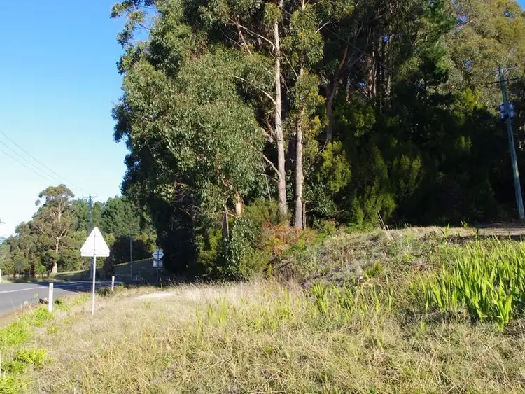 Fourth view of Homely land listing, Channel Highway, Flowerpot TAS 7163