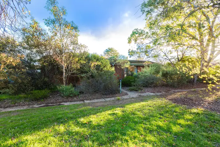 3 Swainsona Street, O'connor ACT 2602