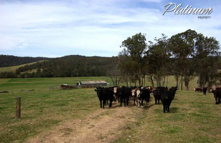 Main view of Homely rural property listing, 347 Nerrigundah Mountain Road-Stockyard Farm, Bodalla NSW 2545