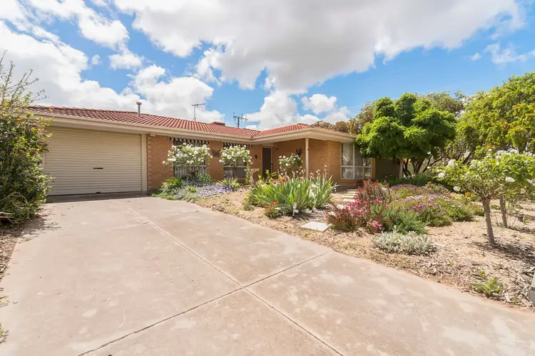 2 Folland Avenue, Willaston SA 5118