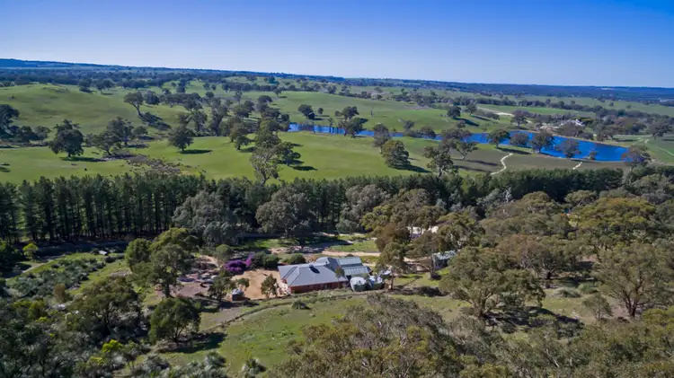 259 Blockers Road, Williamstown SA 5351