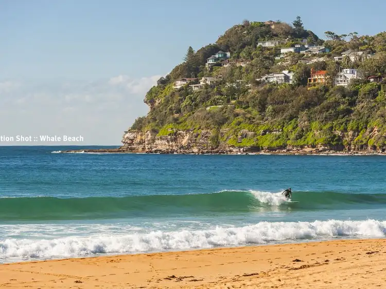 Fourth view of Homely house listing, 131 Whale Beach Road, Avalon Beach NSW 2107