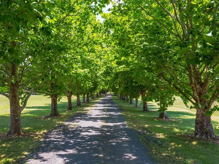 Seventh view of Homely rural property listing, Address available on request