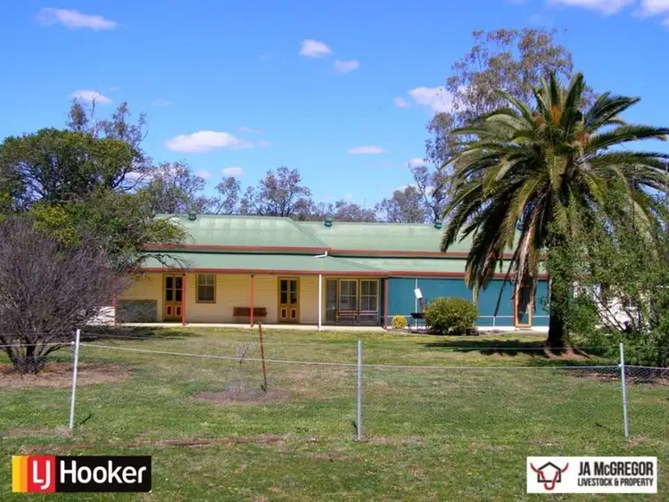 Seventh view of Homely rural property listing, 1590 Oregan Road, Warialda NSW 2402