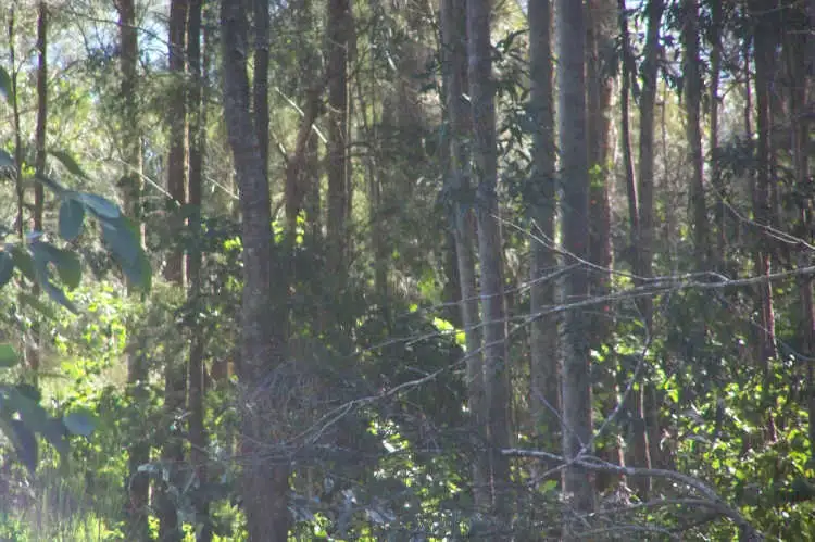 Sixth view of Homely land listing, 27 Pleasant View Parade, Bundabah NSW 2324