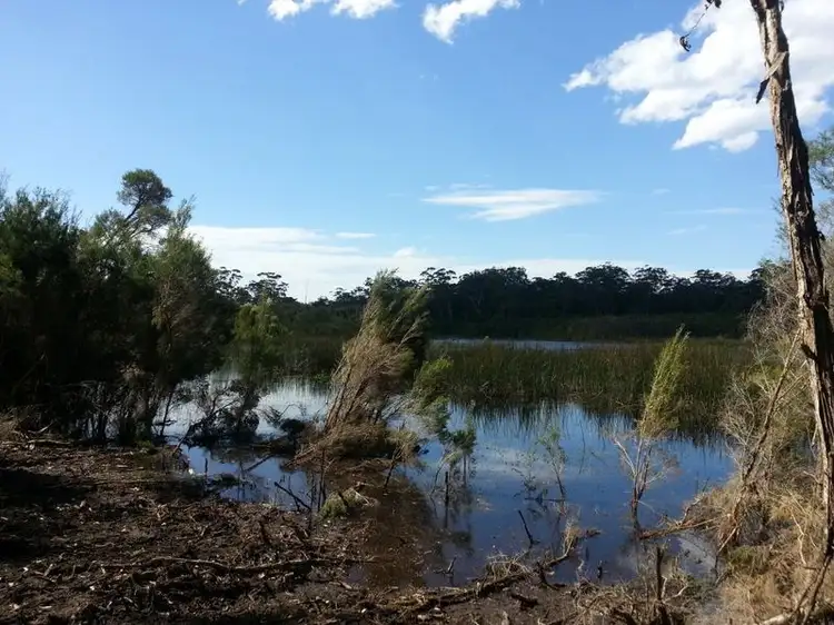 Fifth view of Homely land listing, Lot 3 Phyllis Price Drive, Moruya NSW 2537