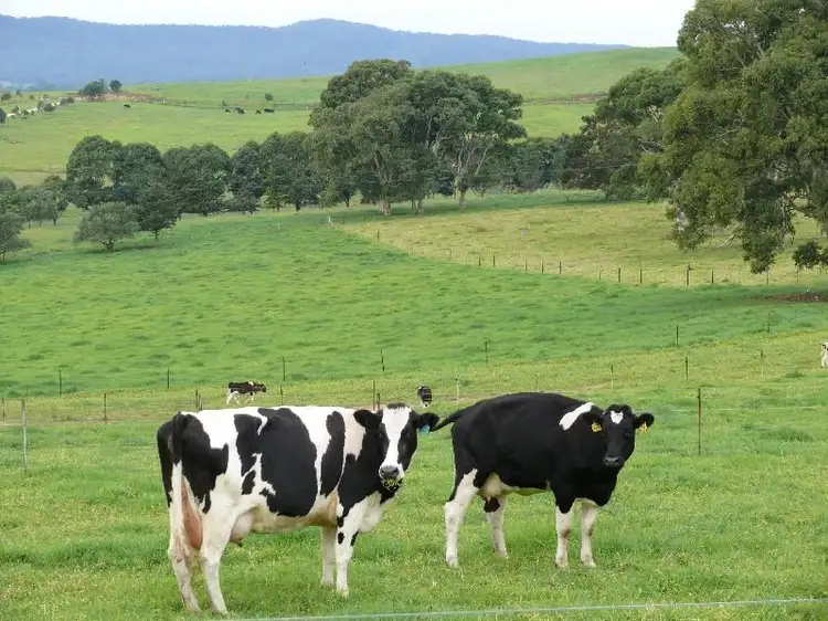 Fifth view of Homely rural property listing, 'Kanoona' Candelo Road, Bega NSW 2550