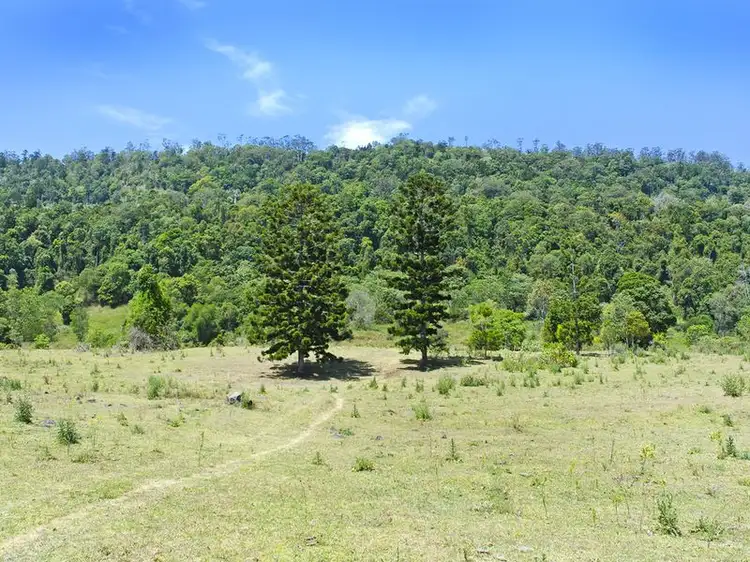 Lot 2 - 32 Flying Fox Rd, Canungra QLD 4275