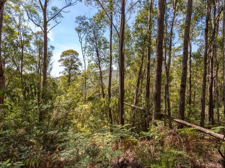 Second view of Homely land listing, Snug Tiers Road, Snug TAS 7054