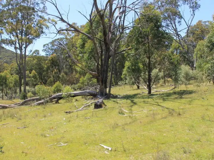 Seventh view of Homely rural property listing, Lot 1 Catarrh Creek Road, Torrington NSW 2371