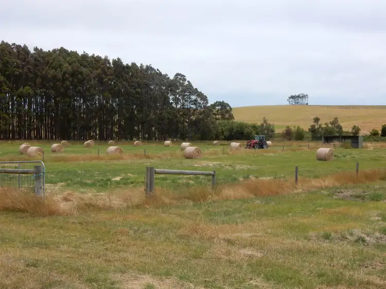 Fourth view of Homely land listing, 501 Springmount Rd, Hindmarsh Tiers SA 5202