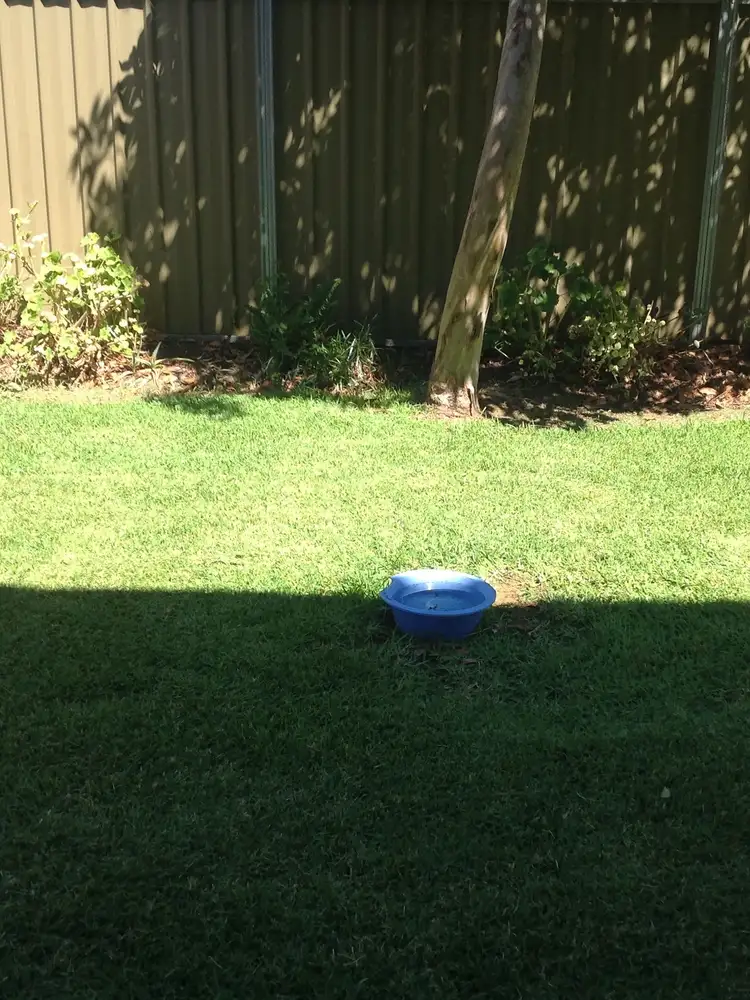 Fourth view of Homely unit listing, 1/4-6 Goode Street, Dubbo NSW 2830