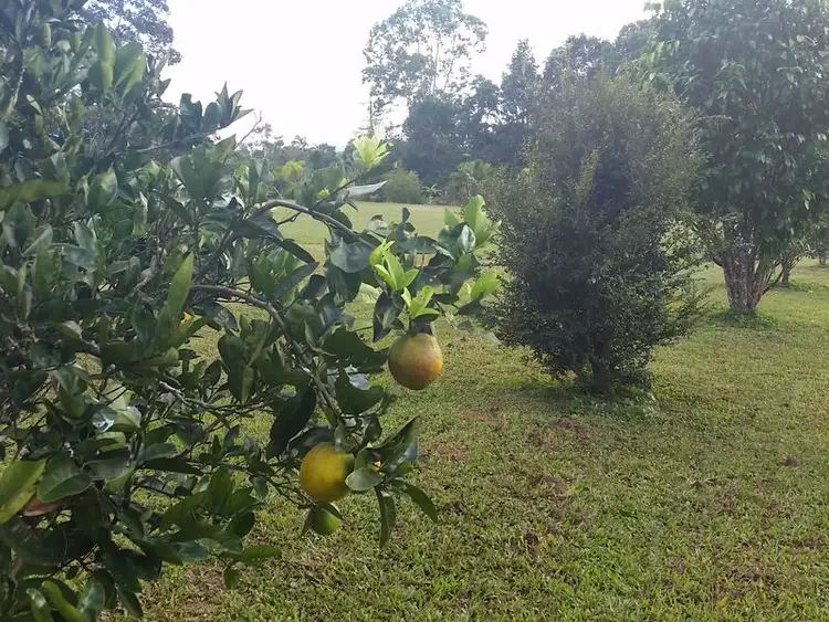 Third view of Homely land listing, 2 Platypus Close, Kuranda QLD 4881