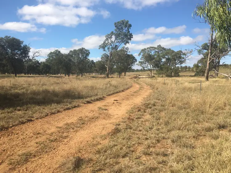 Third view of Homely rural property listing, 407 Lanreef Road, Roma QLD 4455