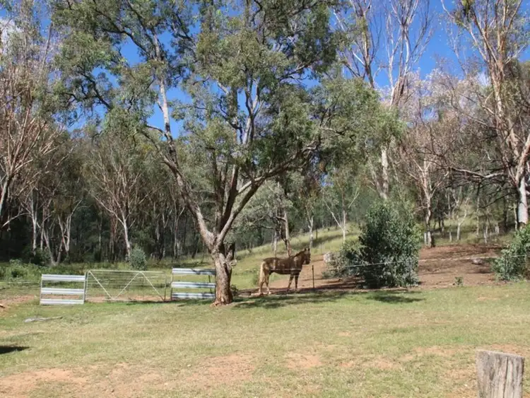 Sixth view of Homely rural property listing, Lot 'Avon Downs'/64 Limbri Road, Limbri NSW 2352