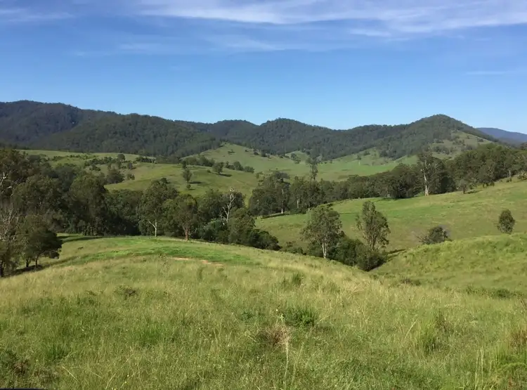 Main view of Homely land listing, 48 Kerriki Forest Road, Wingham NSW 2429